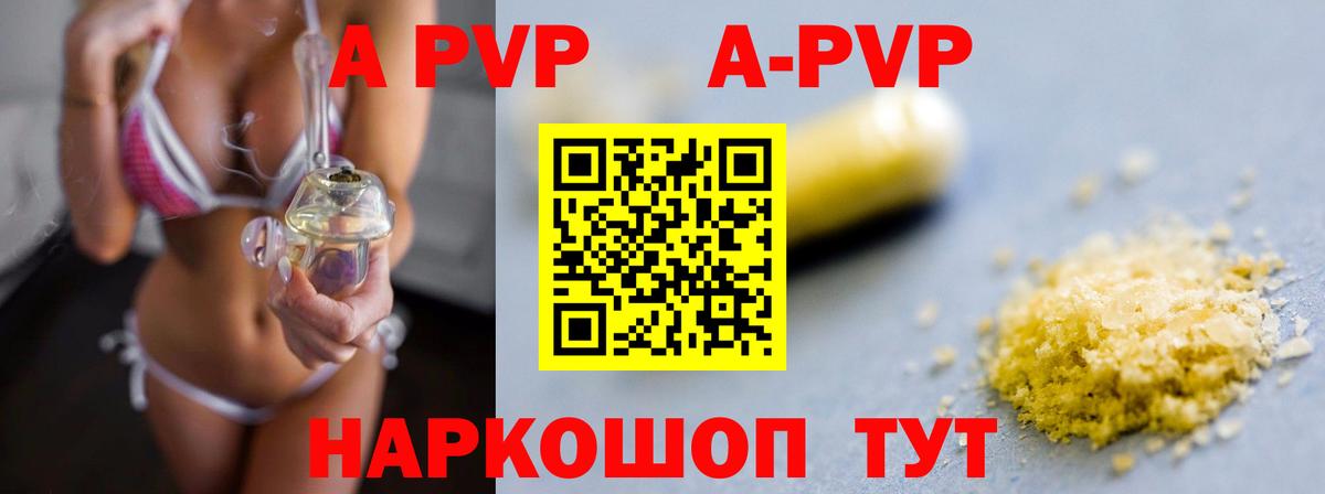 APVP СК Кингисепп