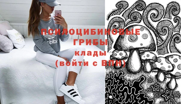 эйфоретик Алзамай