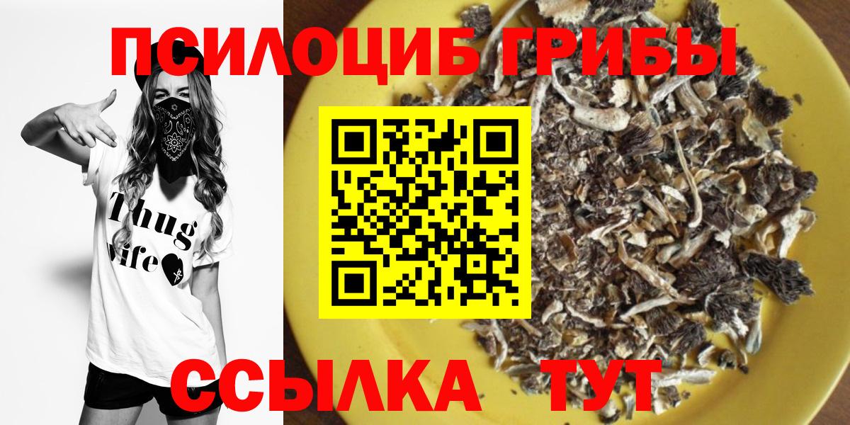 Кингисепп  Галлюциногенные грибы MAGIC MUSHROOMS  Вход с VPN 